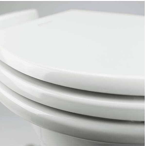 Toilette Dometic série 310