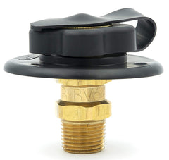 Municipal water flange for RVs